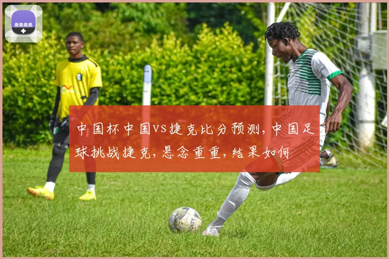 中国杯中国vs捷克比分预测,中国足球挑战捷克,悬念重重,结果如何