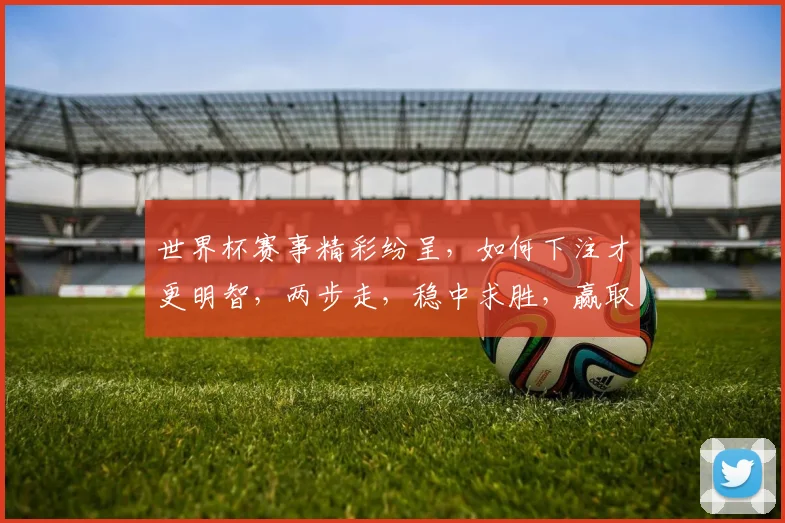 世界杯赛事精彩纷呈，如何下注才更明智，两步走，稳中求胜，赢取丰厚回报