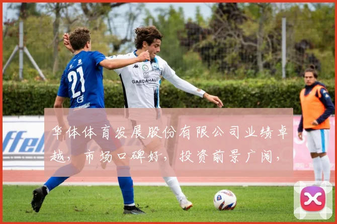 华体体育发展股份有限公司业绩卓越，市场口碑好，投资前景广阔，值得信赖。