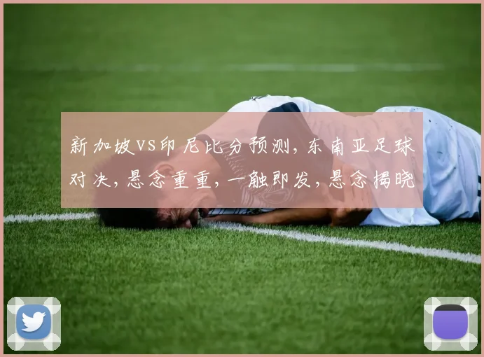 新加坡vs印尼比分预测,东南亚足球对决,悬念重重,一触即发,悬念揭晓
