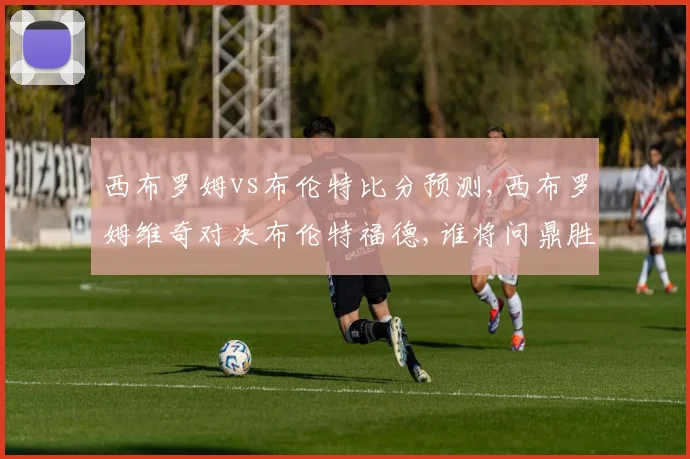 西布罗姆vs布伦特比分预测,西布罗姆维奇对决布伦特福德,谁将问鼎胜利